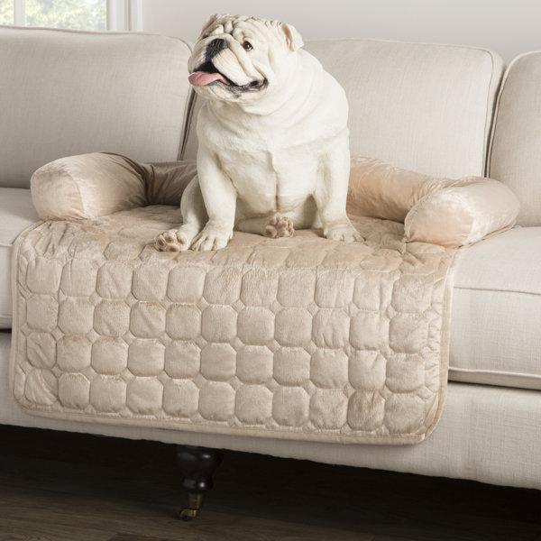 Archie & Oscar™ Delilah Furniture Protector Bolster & Reviews Wayfair